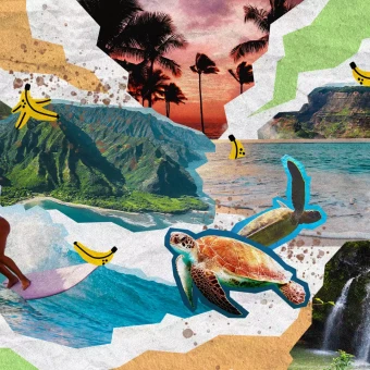 01 Header Hawaii DESKTOP min