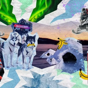 Header Lapponia Desktop min