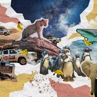 01 Header Sudafrica DESKTOP min