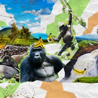 01 Header Uganda DESKTOP