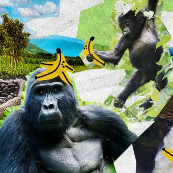 01 Header Uganda MOBILE