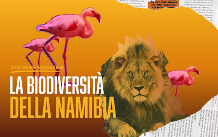 00 Sto Gran Magazine Novembre COVER
