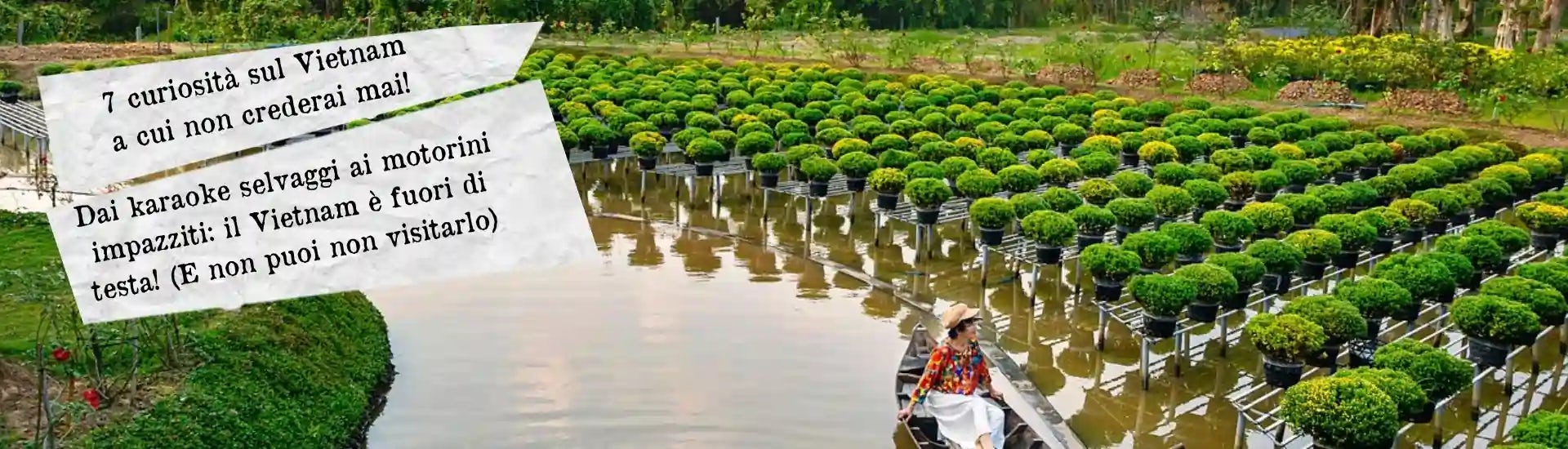 7 curiosit sul Vietnam larga