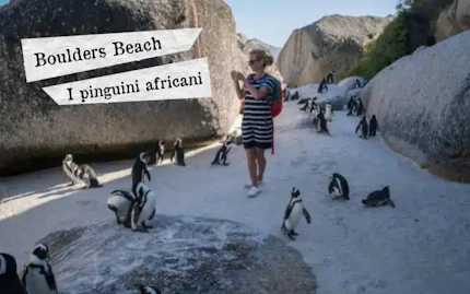 Boulders Beach 708x443
