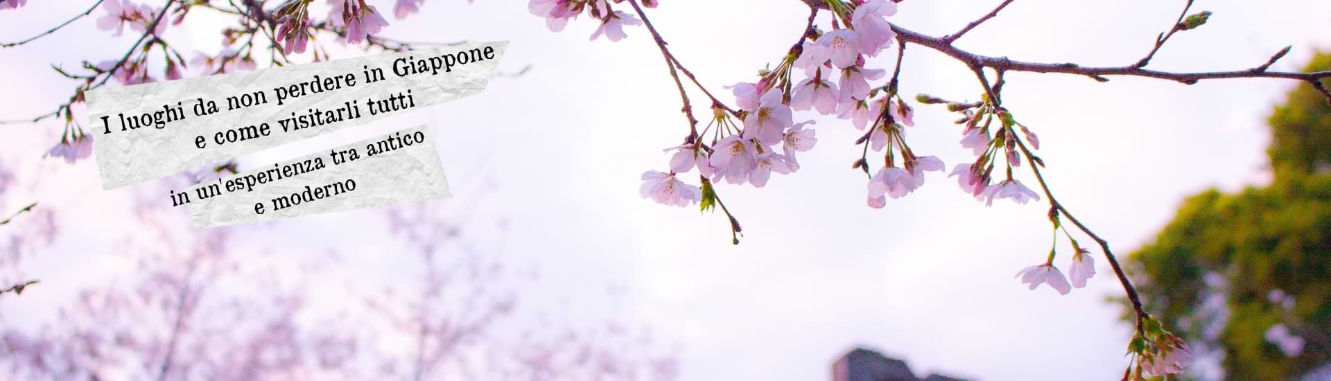 cosa vedere in giappone larga