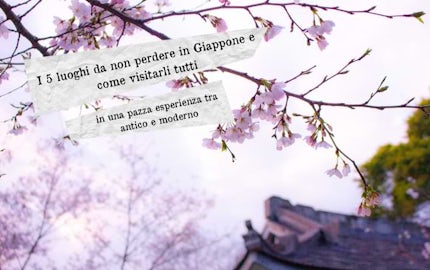 cosa vedere in giappone