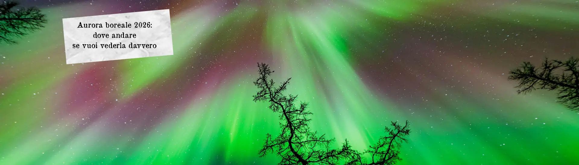 Aurora boreale 2026 dove andare per vederla larga