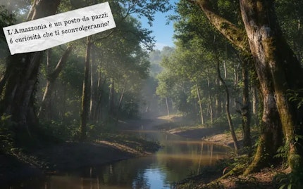 amazzonia curiosita