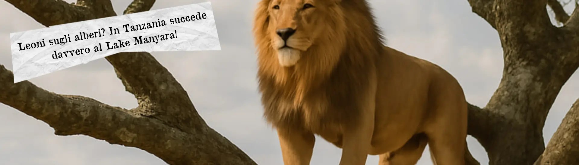 leoni alberi