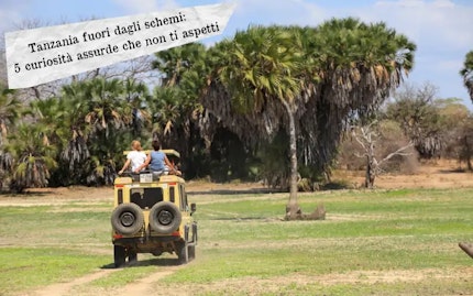 tanzania curiosit 