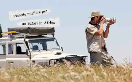 PeriodoSafari 708x443