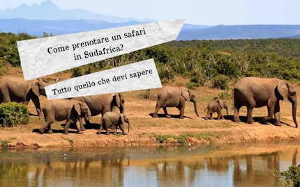 come prenotare safari sudafrica
