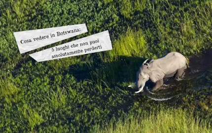 cosa vedere in botswana