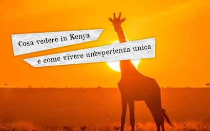 cosa vedere in kenya