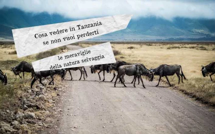 cosa vedere in tanzania