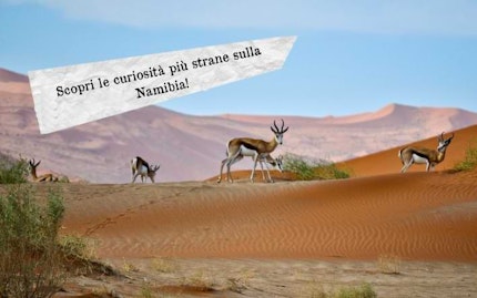 curiosita namibia