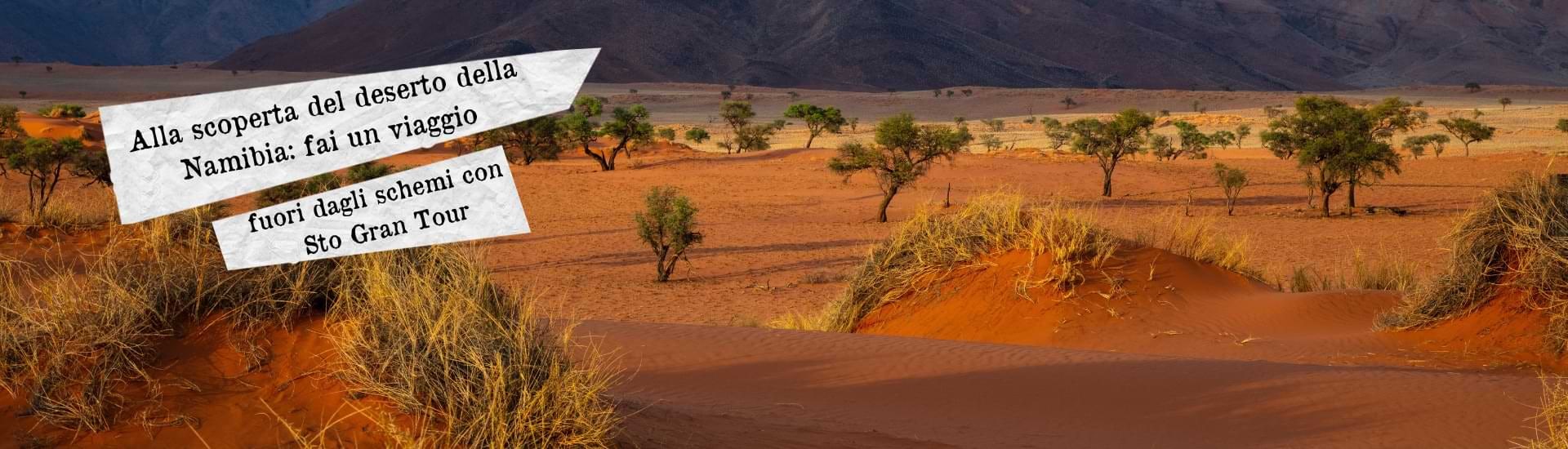 deserto namibia larga