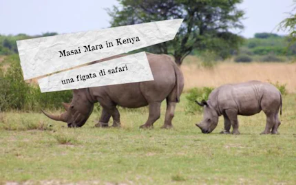 masai mara copertina 