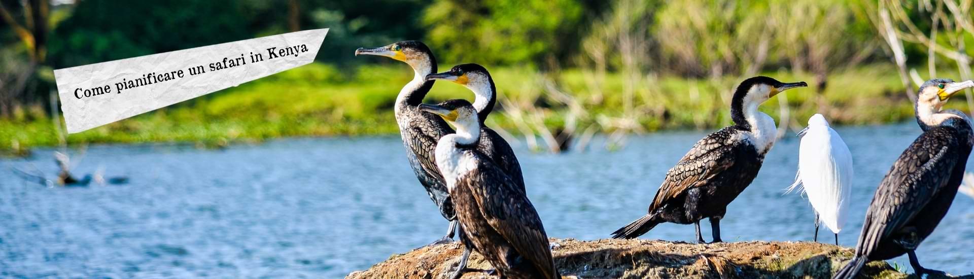 pianificare safari kenya larga