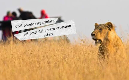 safari africa costo
