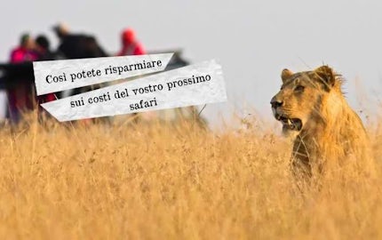 safari africa costo