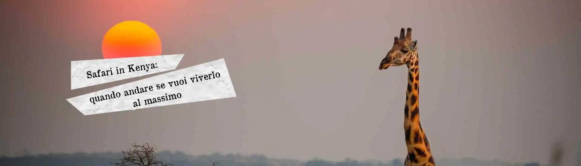 safari in kenya larga