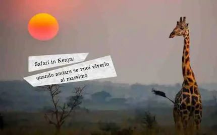 safari in kenya