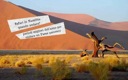 safari in namibia quando andare