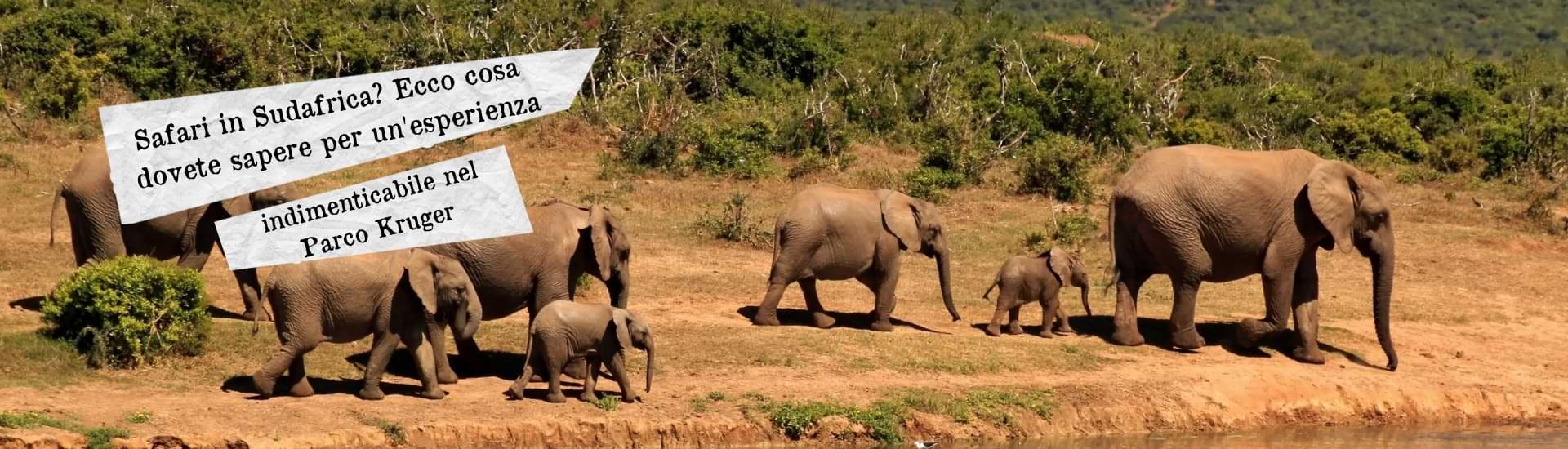 safari parco kruger larga