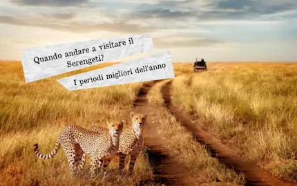 serengeti quando andare