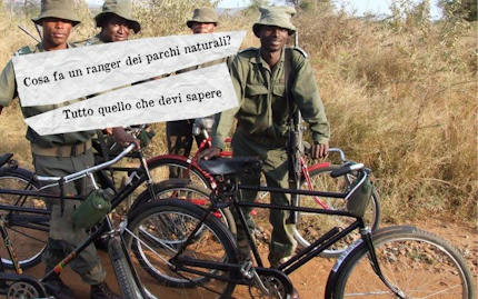 cosa fa un ranger