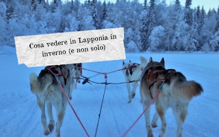 cosa vedere in lapponia in inverno