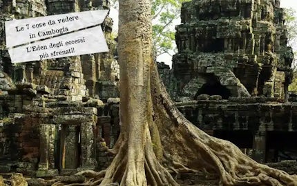 cose da vedere cambogia