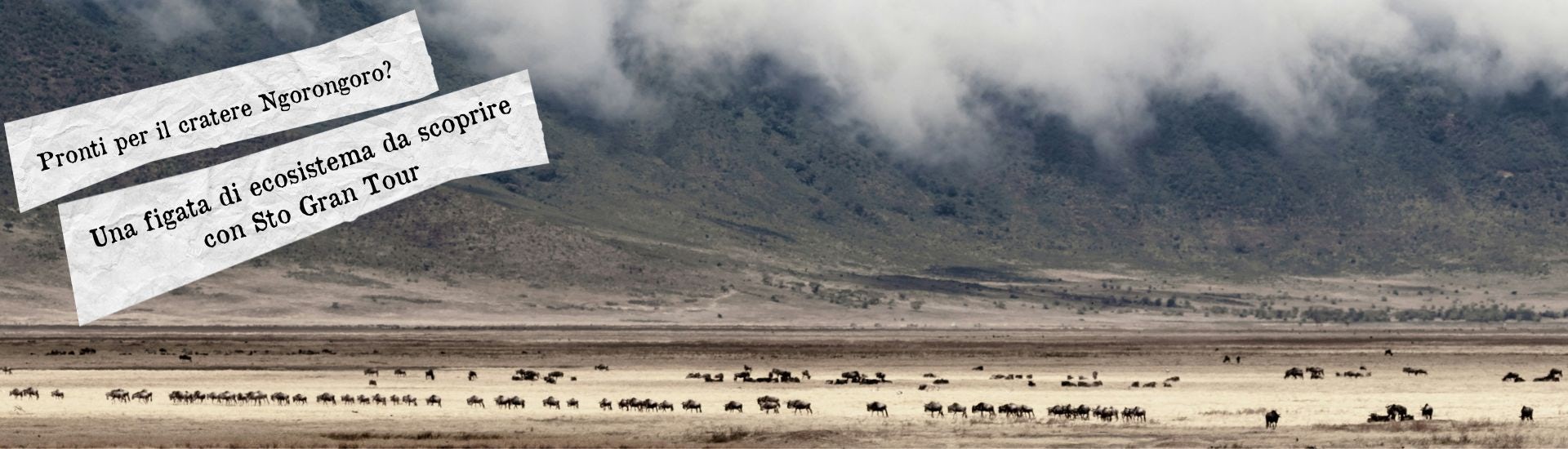 cratere ngorongoro larga