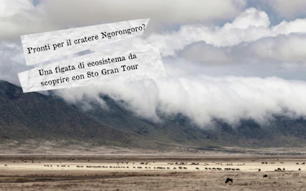 cratere ngorongoro