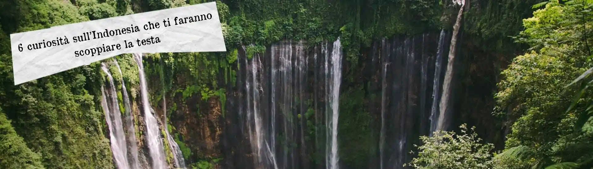 curiosita indonesia larga