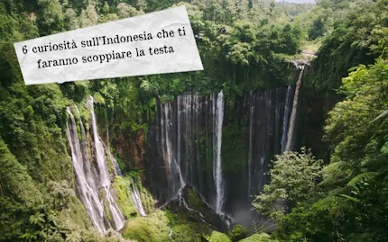 curiosita indonesia