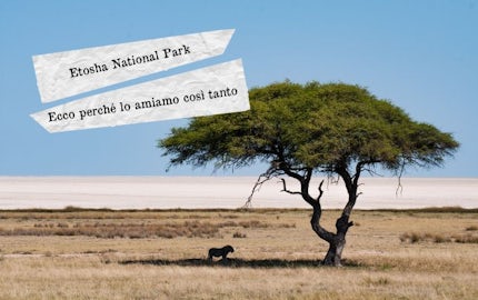 etosha national park