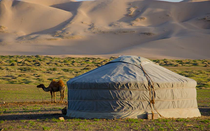 le10cosedafaremongolia708x433