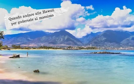 quando andare alle hawaii