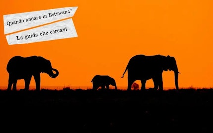 quando andare in botswana