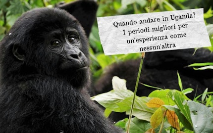 quando andare uganda