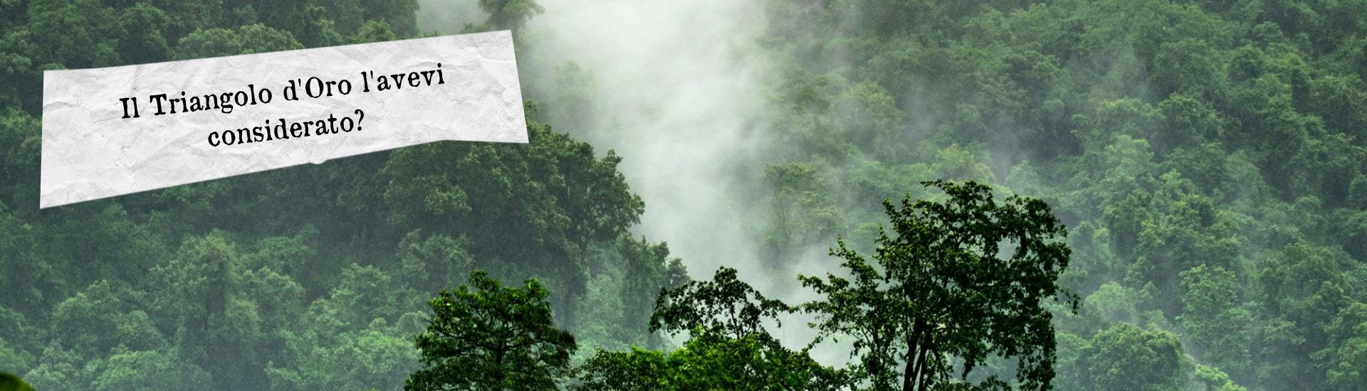 triangolo oro larga