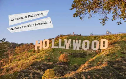 hollywood
