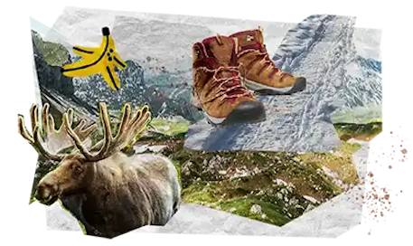 08 Tappe Viaggio DESKTOP Alaska