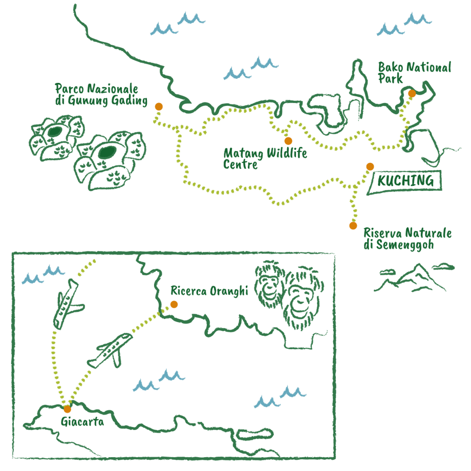 Mappa Borneo