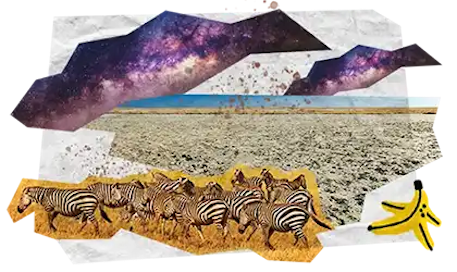 04 Tappe Viaggio DESKTOP Botswana