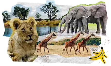 08 Tappe Viaggio DESKTOP Botswana