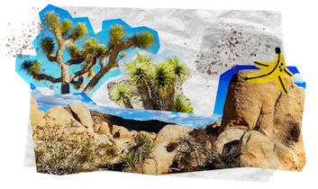 09 Tappe Viaggio MOBILE California