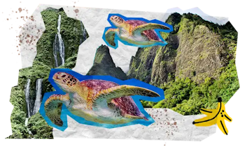 08 Tappe Viaggio MOBILE Hawaii